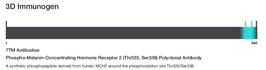 Phospho-Melanin-Concentrating Hormone Receptor 2 (Thr335, Ser338) Polyclonal Antibody