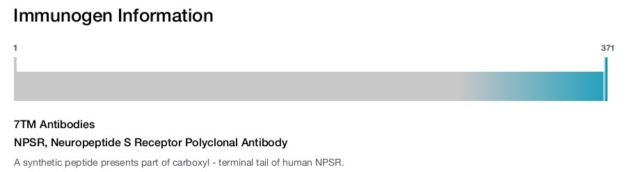 NPSR, Neuropeptide S Receptor Polyclonal Antibody