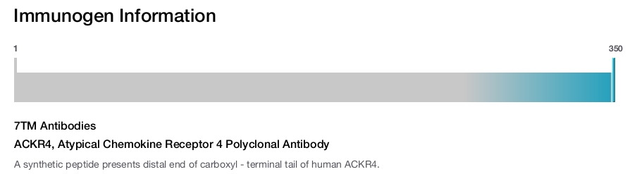 ACKR4, Atypical Chemokine Receptor 4 Polyclonal Antibody