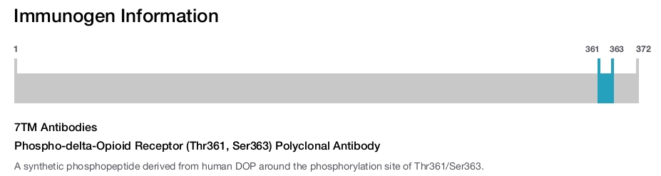 Phospho-delta-Opioid Receptor (Thr361, Ser363) Polyclonal Antibody