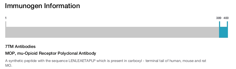 MOP, mu-Opioid Receptor Polyclonal Antibody