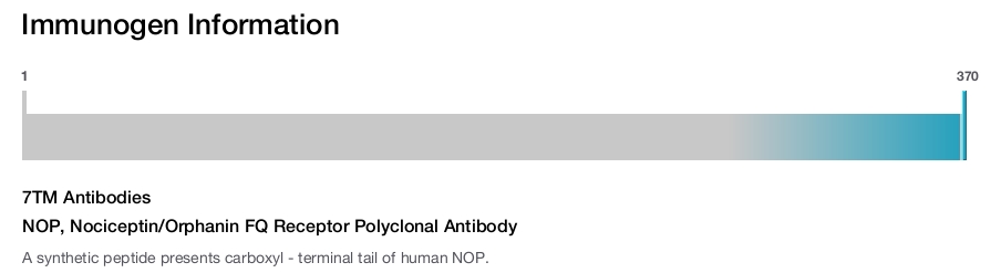 NOP, Nociceptin/Orphanin FQ Receptor Polyclonal Antibody