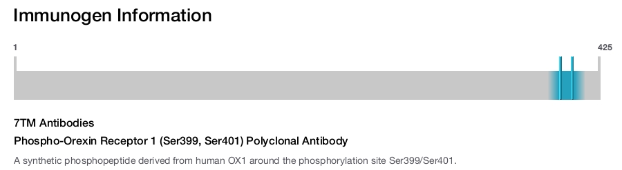 Phospho-Orexin Receptor 1 (Ser399, Ser401) Polyclonal Antibody