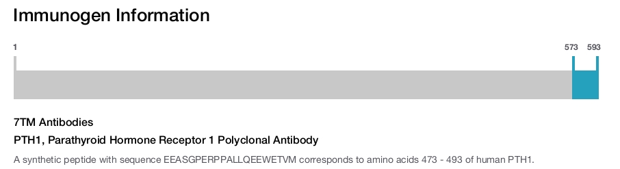 PTH1, Parathyroid Hormone Receptor 1 Polyclonal Antibody