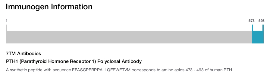 PTH1 (Parathyroid Hormone Receptor 1) Polyclonal Antibody