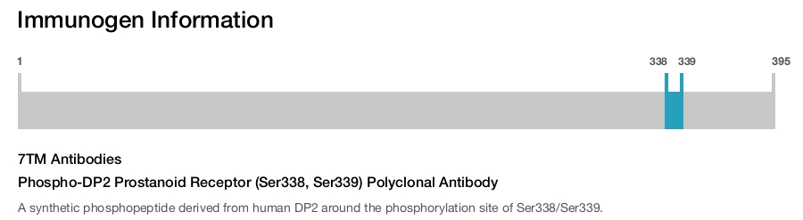Phospho-DP2 Prostanoid Receptor (Ser338, Ser339) Polyclonal Antibody