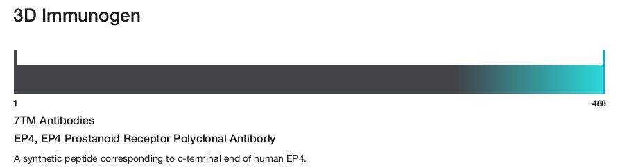 EP4, EP4 Prostanoid Receptor Polyclonal Antibody