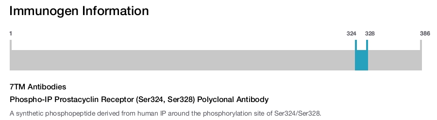 Phospho-IP Prostacyclin Receptor (Ser324, Ser328) Polyclonal Antibody