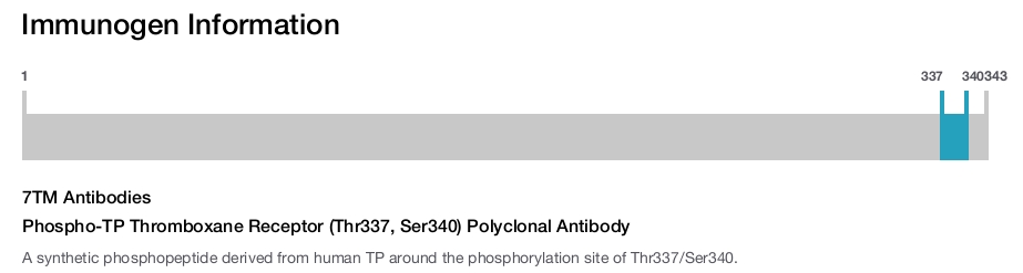 Phospho-TP Thromboxane Receptor (Thr337, Ser340) Polyclonal Antibody
