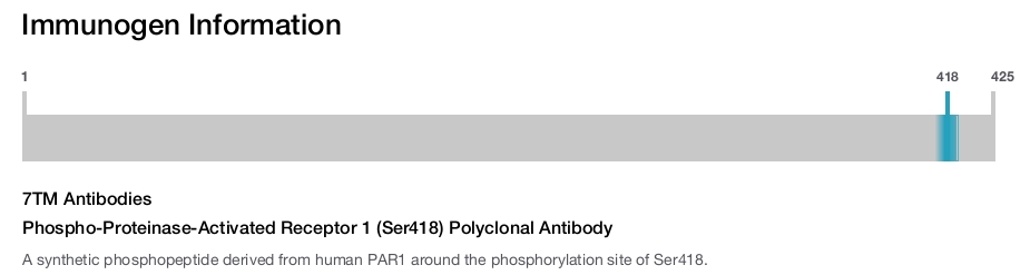 Phospho-Proteinase-Activated Receptor 1 (Ser418) Polyclonal Antibody