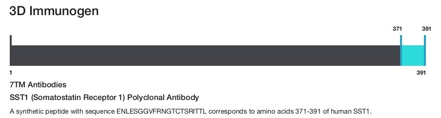 SST1 (Somatostatin Receptor 1) Polyclonal Antibody