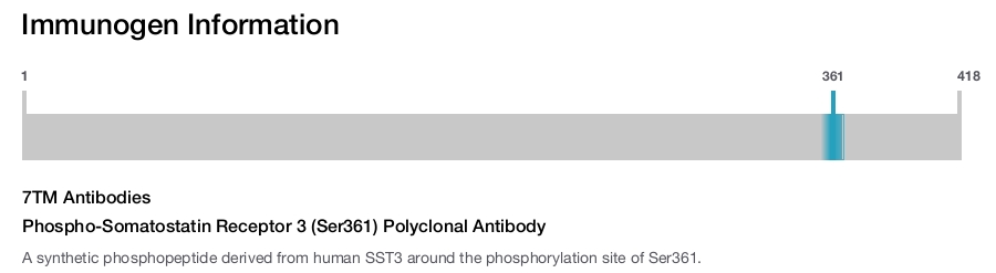 Phospho-Somatostatin Receptor 3 (Ser361) Polyclonal Antibody