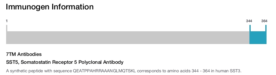 SST5, Somatostatin Receptor 5 Polyclonal Antibody