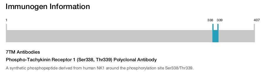 Phospho-Tachykinin Receptor 1 (Ser338, Thr339) Polyclonal Antibody