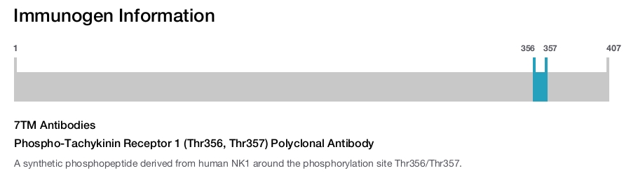 Phospho-Tachykinin Receptor 1 (Thr356, Thr357) Polyclonal Antibody
