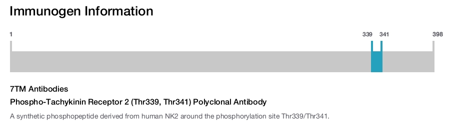 Phospho-Tachykinin Receptor 2 (Thr339, Thr341) Polyclonal Antibody