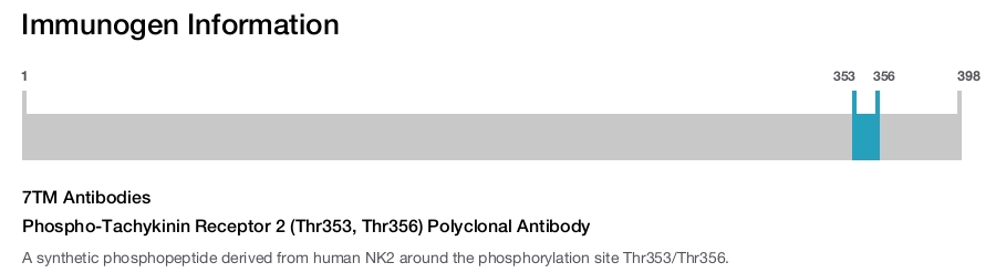 Phospho-Tachykinin Receptor 2 (Thr353, Thr356) Polyclonal Antibody