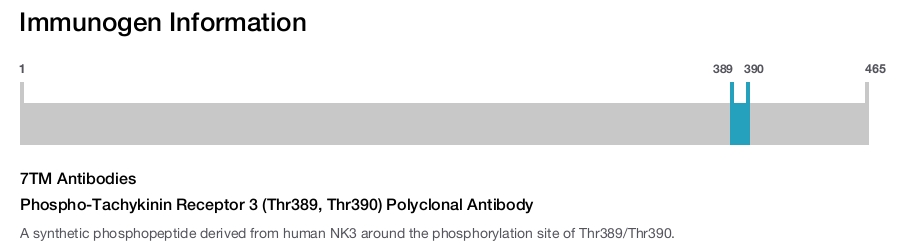 Phospho-Tachykinin Receptor 3 (Thr389, Thr390) Polyclonal Antibody