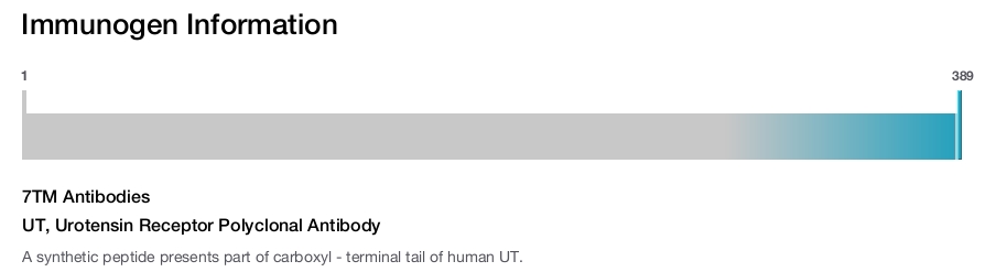 UT, Urotensin Receptor Polyclonal Antibody