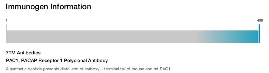 PAC1, PACAP Receptor 1 Polyclonal Antibody