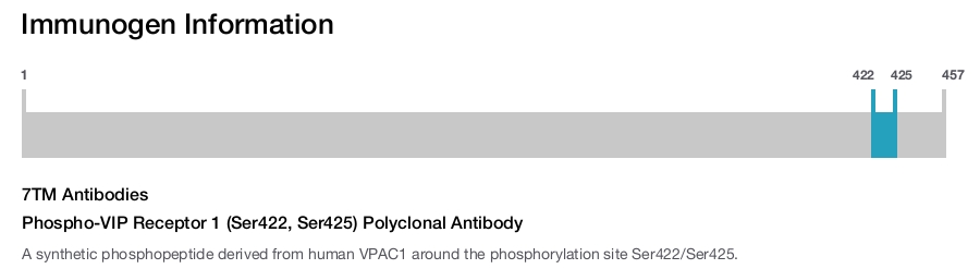 Phospho-VIP Receptor 1 (Ser422, Ser425) Polyclonal Antibody
