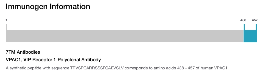 VPAC1, VIP Receptor 1 Polyclonal Antibody