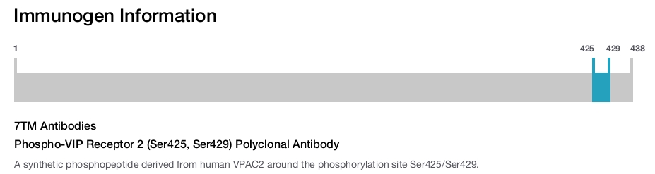 Phospho-VIP Receptor 2 (Ser425, Ser429) Polyclonal Antibody