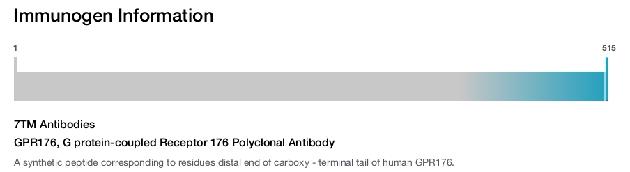 GPR176, G protein-coupled Receptor 176 Polyclonal Antibody