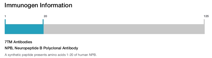 NPB, Neuropeptide B Polyclonal Antibody