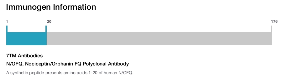 N/OFQ, Nociceptin/Orphanin FQ Polyclonal Antibody