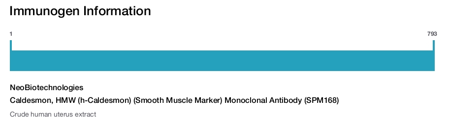 Caldesmon, HMW (h-Caldesmon) (Smooth Muscle Marker) Monoclonal Antibody (SPM168)
