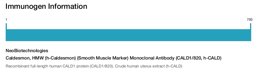 Caldesmon, HMW (h-Caldesmon) (Smooth Muscle Marker) Monoclonal Antibody (CALD1/820, h-CALD)