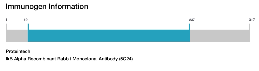 IkB Alpha Recombinant Rabbit Monoclonal Antibody (5C24)