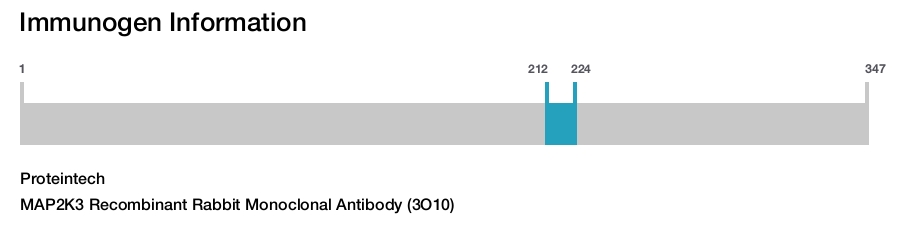 MAP2K3 Recombinant Rabbit Monoclonal Antibody (3O10)