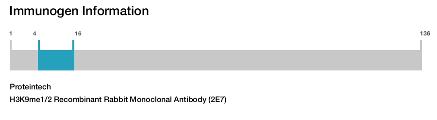 H3K9me1/2 Recombinant Rabbit Monoclonal Antibody (2E7)