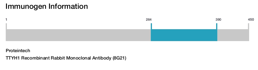 TTYH1 Recombinant Rabbit Monoclonal Antibody (8G21)