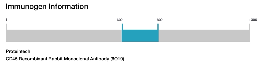 CD45 Recombinant Rabbit Monoclonal Antibody (6O19)