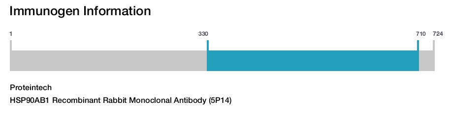 HSP90AB1 Recombinant Rabbit Monoclonal Antibody (5P14)