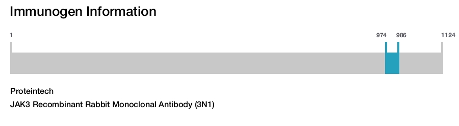 JAK3 Recombinant Rabbit Monoclonal Antibody (3N1)