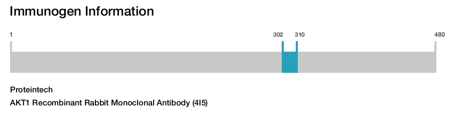 AKT1 Recombinant Rabbit Monoclonal Antibody (4I5)