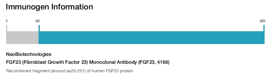 FGF23 (Fibroblast Growth Factor 23) Monoclonal Antibody (FGF23, 4166)