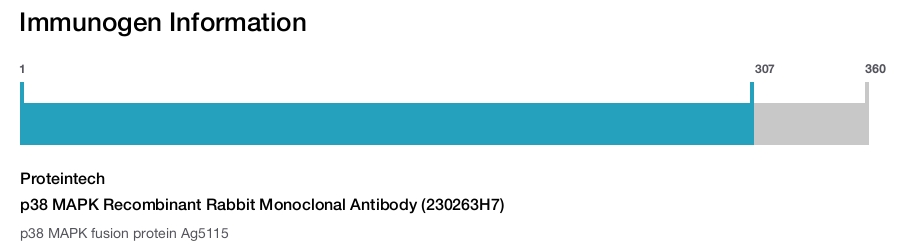 p38 MAPK Recombinant Rabbit Monoclonal Antibody (230263H7)