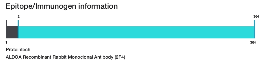 ALDOA Recombinant Rabbit Monoclonal Antibody (2F4)