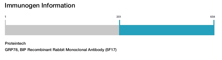 GRP78, BIP Recombinant Rabbit Monoclonal Antibody (5F17)