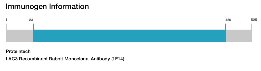 LAG3 Recombinant Rabbit Monoclonal Antibody (1F14)