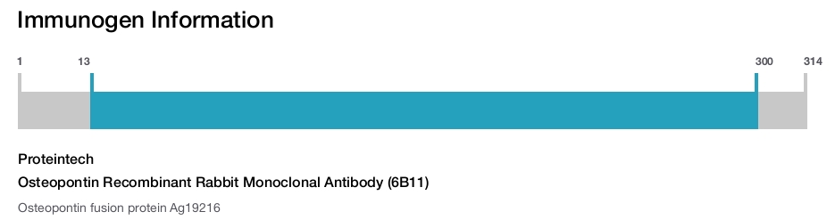 Osteopontin Recombinant Rabbit Monoclonal Antibody (6B11)