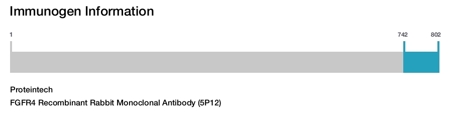 FGFR4 Recombinant Rabbit Monoclonal Antibody (5P12)
