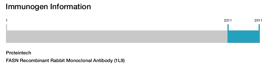FASN Recombinant Rabbit Monoclonal Antibody (1L9)