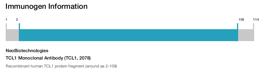 TCL1 Monoclonal Antibody (TCL1, 2078)
