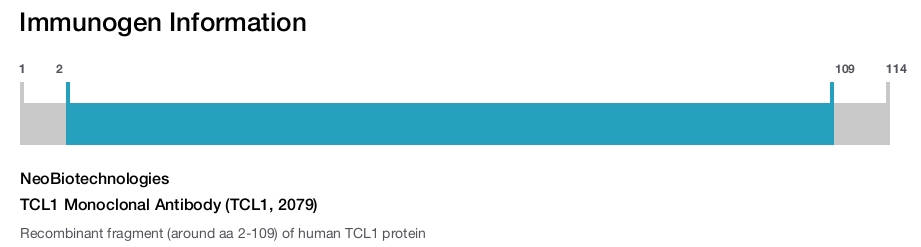 TCL1 Monoclonal Antibody (TCL1, 2079)